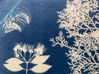 Beginner's Cyanotype Workshop