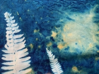 Beginner's Cyanotype Workshop (2)